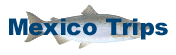 Hosted Mexico Trips