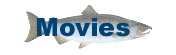 River and Big Fish Movies